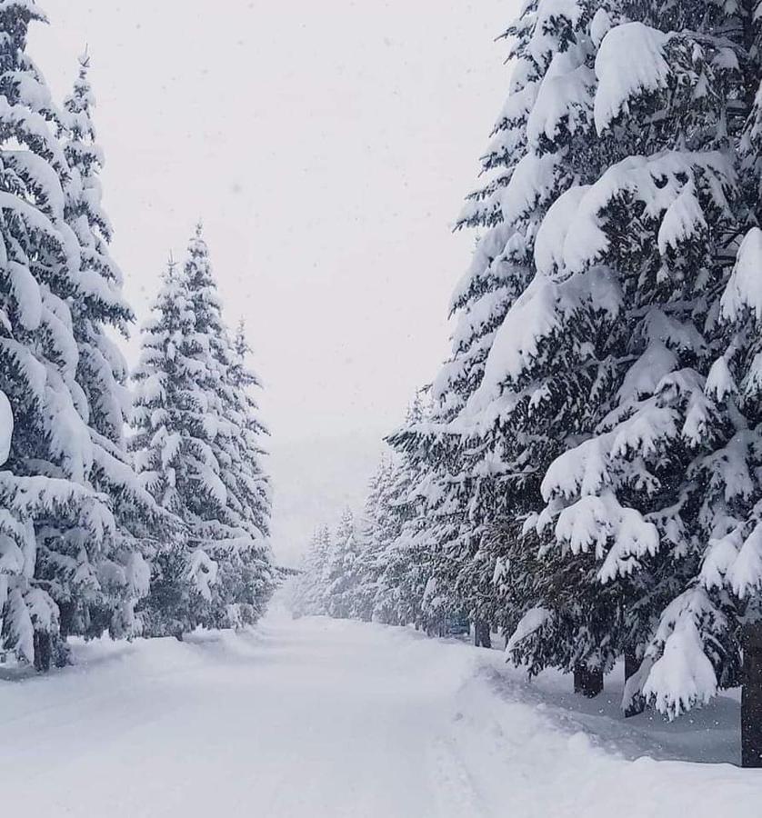 Hasi Hotel Csermuk Kültér fotó